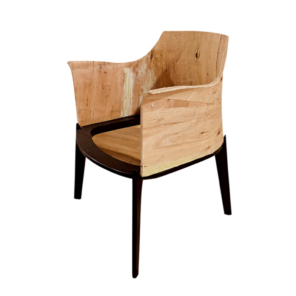 Dining Room Chair Plywood Back Seat One Piece Bentwood Eucalyptus Curved Plate
